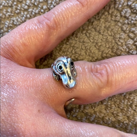 Dinosaur ring - Picture 5 of 6
